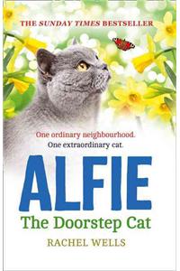 Alfie the Doorstep Cat