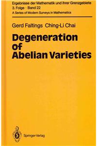 Degeneration of Abelian Varieties