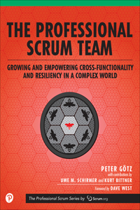 Professional Scrum Team