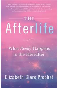 Afterlife
