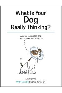 What Is Your Dog Really Thinking?