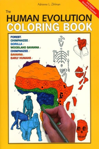 Human Evolution Coloring Book, 2nd Edition