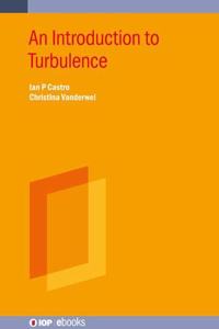 Turbulent Flows: an Introduction