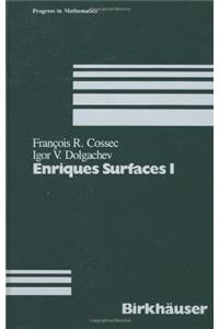 Enriques Surfaces I