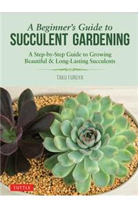 Beginner's Guide to Succulent Gardening