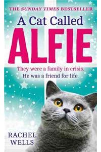 A A Cat Called Alfie Cat Called Alfie