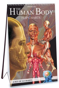 The Human Body Flip Charts: A Set Of 24 Charts