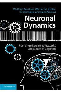 Neuronal Dynamics