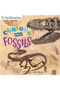 Curious about Fossils