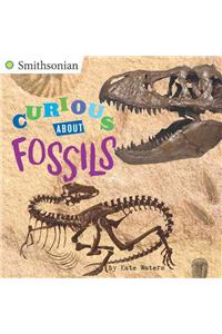 Curious About Fossils