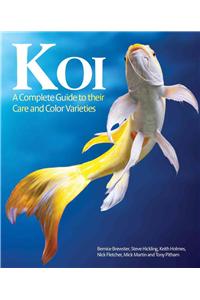 Koi: A Complete Guide to Their Care and Color Varieties