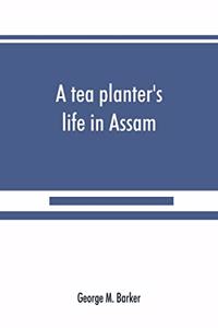 tea planter's life in Assam