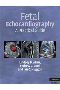 Fetal Echocardiography