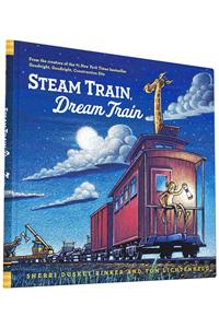 Steam Train, Dream Train
