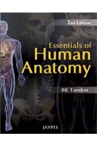 Essentials of Human Anatomy