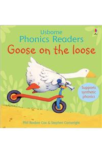 Goose on the loose