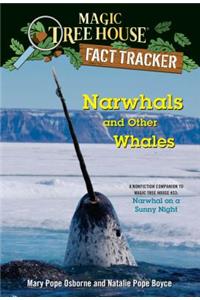 Narwhals and Other Whales