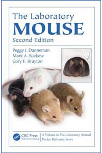 Laboratory Mouse