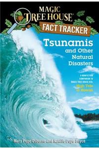 Tsunamis and Other Natural Disasters