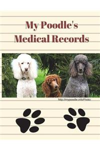 My Poodle's Medical Records