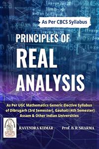 Principles of Real Analysis