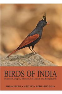 Birds of India