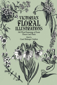 Victorian Floral Illustrations