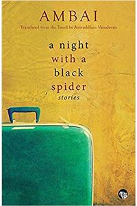 A Night with a Black Spider