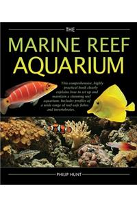 Marine Reef Aquarium