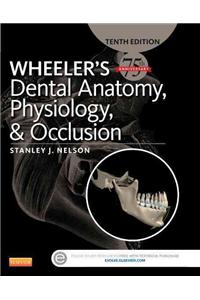 Wheeler's Dental Anatomy, Physiology and Occlusion