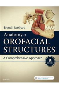 Anatomy of Orofacial Structures