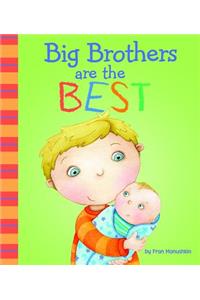 Fiction Picture Books Big Brothers are the Best