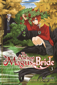 Ancient Magus' Bride Vol. 3