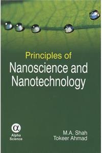Principles of Nanoscience and Nanotechnology