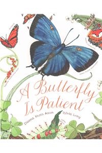 Butterfly Is Patient