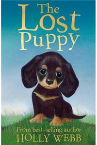 The Lost Puppy