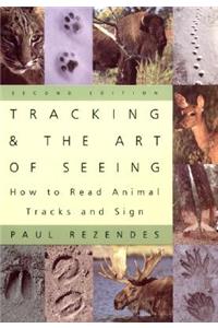 Tracking and the Art of Seeing