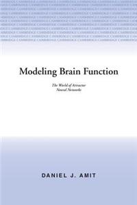 Modelling Brain Function