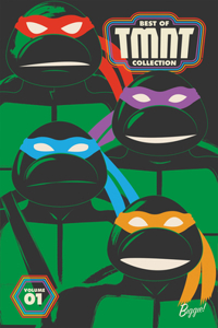 Best of Teenage Mutant Ninja Turtles Collection, Vol. 1