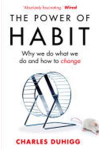 Power of Habit, The (L): Why We Do What We Do, and How to Change [Paperback] Duhigg, Charles