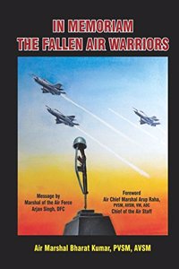 In Memorium: The Fallen Air Warriors