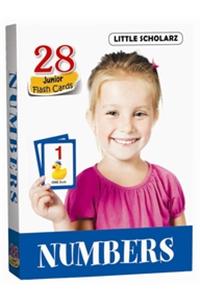 Flash Cards - NUMBERS