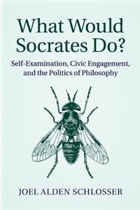 What Would Socrates Do?