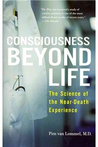 Consciousness Beyond Life