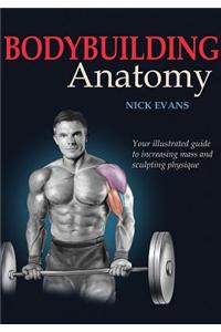 Bodybuilding Anatomy