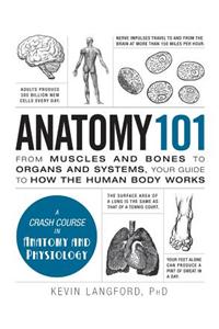 Anatomy 101