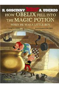 Asterix: How Obelix Fell Into The Magic Potion