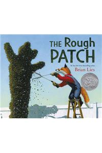 The Rough Patch