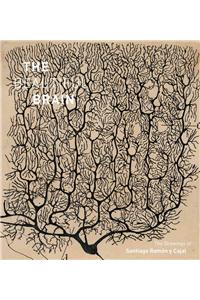 The Beautiful Brain: The Drawings of Santiago Ramon Y Cajal