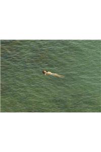 Richard Misrach:The Mysterious Opacity of Other Beings